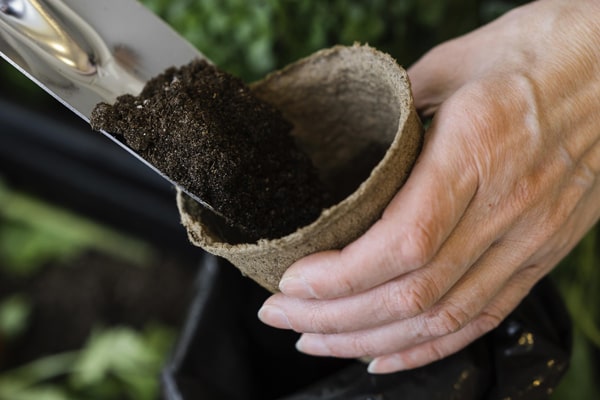 Woman putting soil in a potted plant