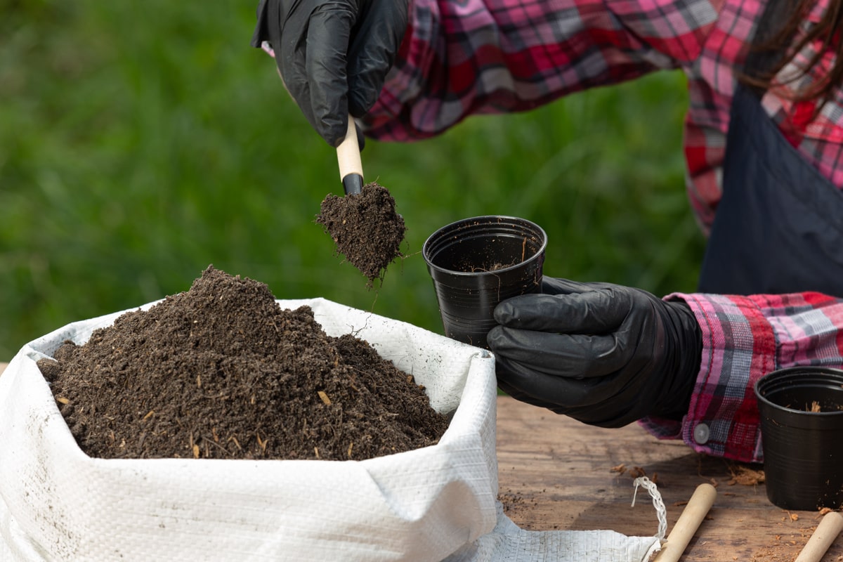 A person planting using compost