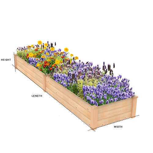 Raised Bed 2x8 Dimensions