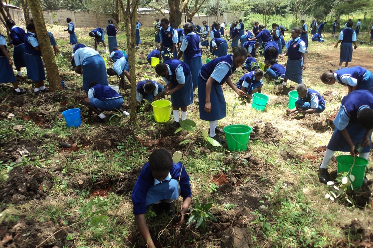 Student's in a tree planting activity