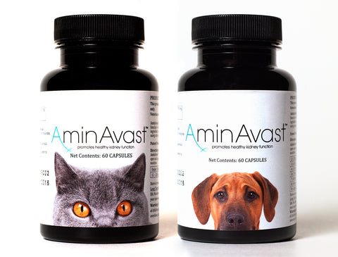 Aminavast Kidney Support for Cats and Dogs to help fight renal failure at cats and dogs - Mantastore UK