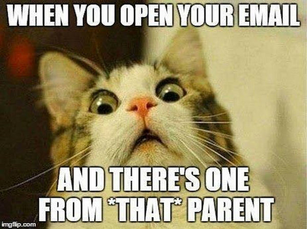 Funny teacher meme with a scared cat because the email you opened is from THAT parent