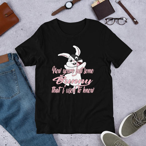 Cute Easter Bunny Shirt Inspired by Song Lyrics