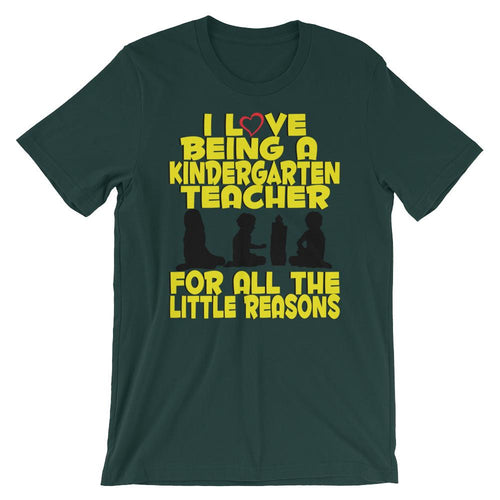 Cute Kindergarten Teacher Shirt - All the Little Reasons