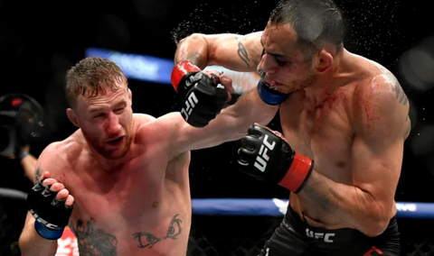 Justin Gaethje vs. Tony Ferguson in Fan-Free UFC Fight