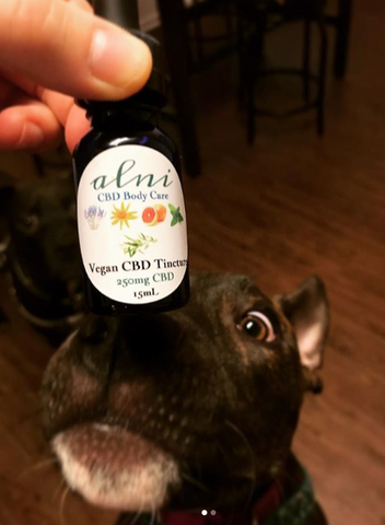 Alni Body Care CBD Oil for Pets