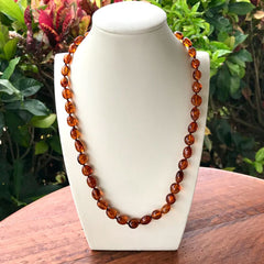22" Baltic Amber Necklace on Mannequin