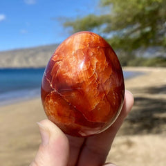 Person holding Carnelian Egg on the beach