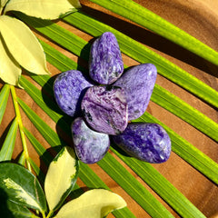 Charoite Pebbles Healing Crystals