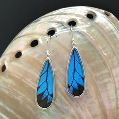 Drop Butterfly Wing Earrings