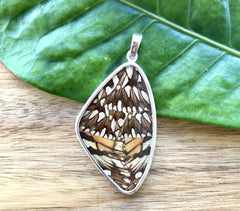 Extra Large Butterfly Wing Pendant in Silver Spangle