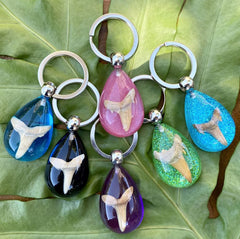 Fossil Shark Tooth Colorful Teardrop Keychains
