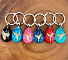 Fossil Shark Tooth Colorful Teardrop Keychains