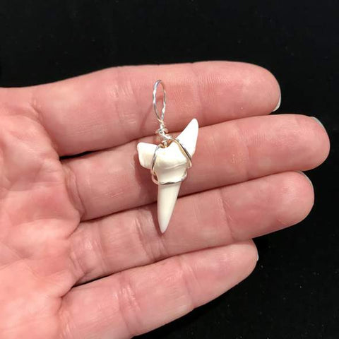 shark tooth pendent – Liry's Jewelry