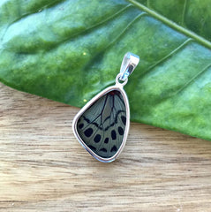Small Butterfly Wing Pendant in Sage