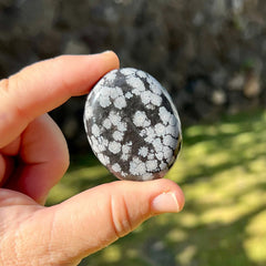 Snowflake Obsidian Pillows