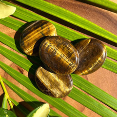 Tiger Eye Worry Stones