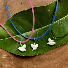 Tiny Tiger Shark Tooth Pendant Necklaces on Leaf