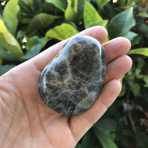 Black Moonstone Palm Stone in palm of hand