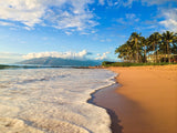 Hawaii beach and ocean