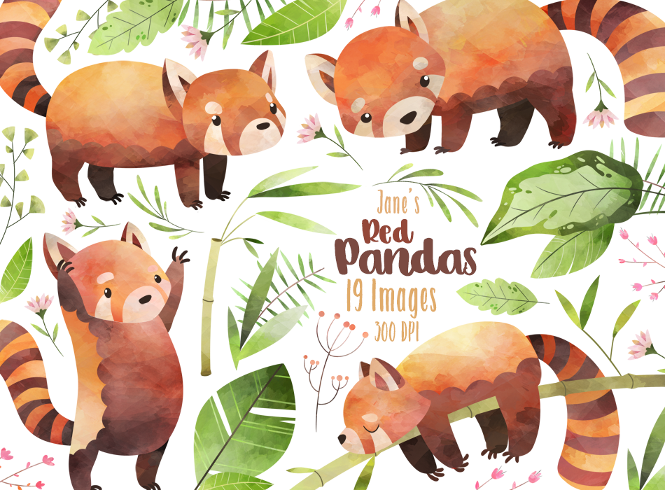 Red Panda Graphics Set