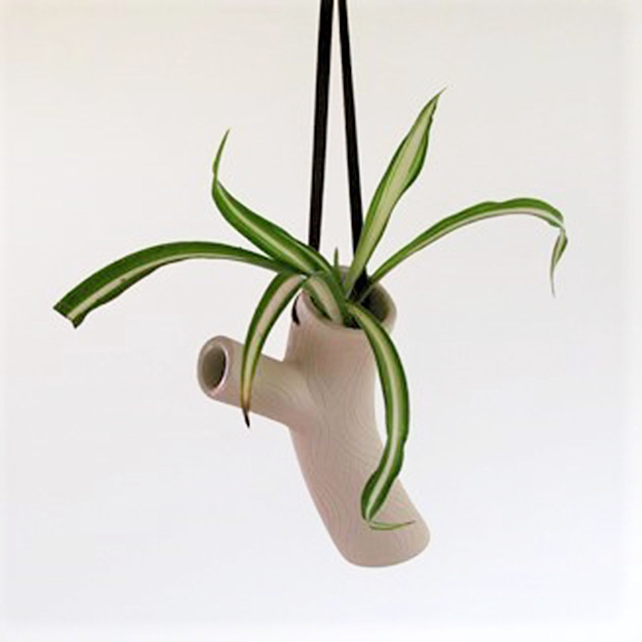 Jennifer Fisher's Twig Hanging Vase.