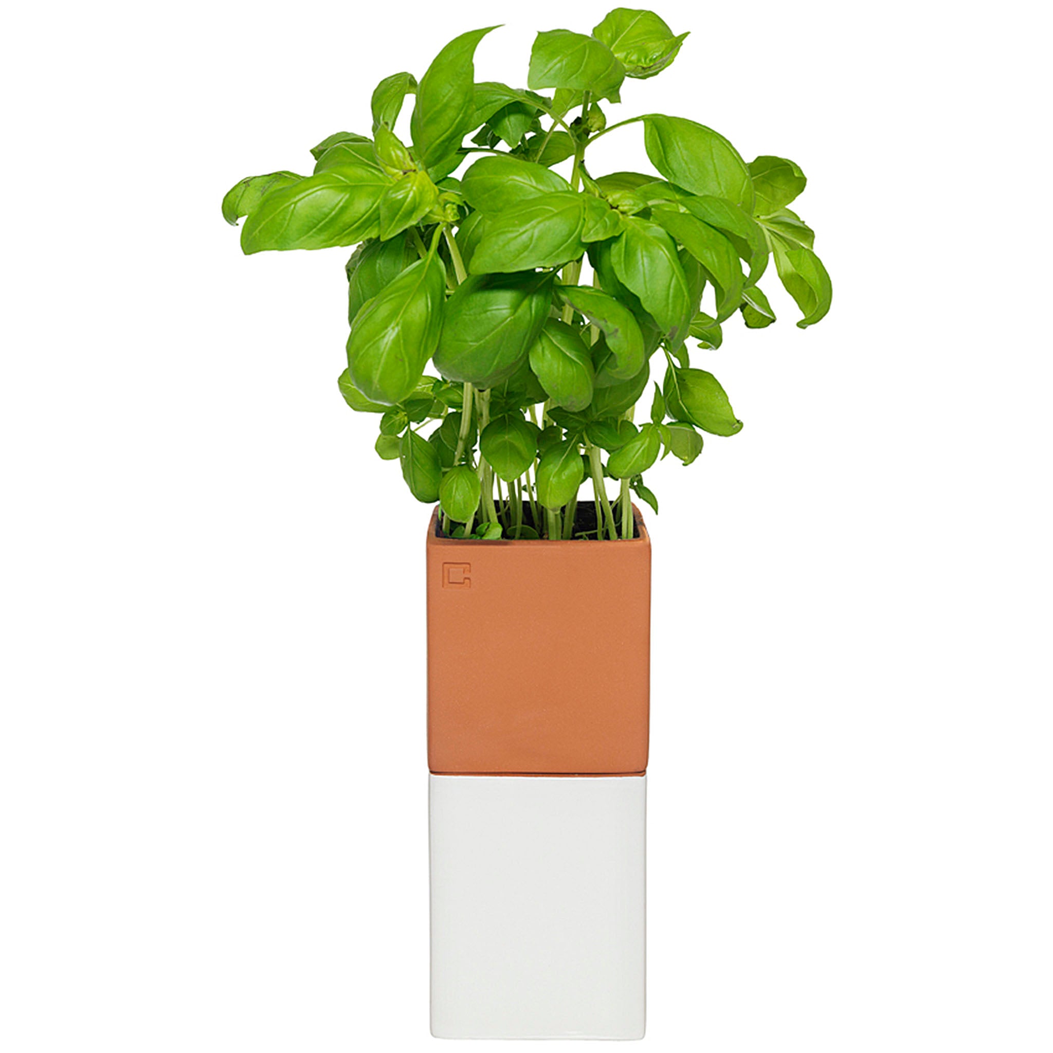 Evergreen Herb Pot is a sleek double-tiered planter that combines a modern look with a modern idea: a self-watering system.
