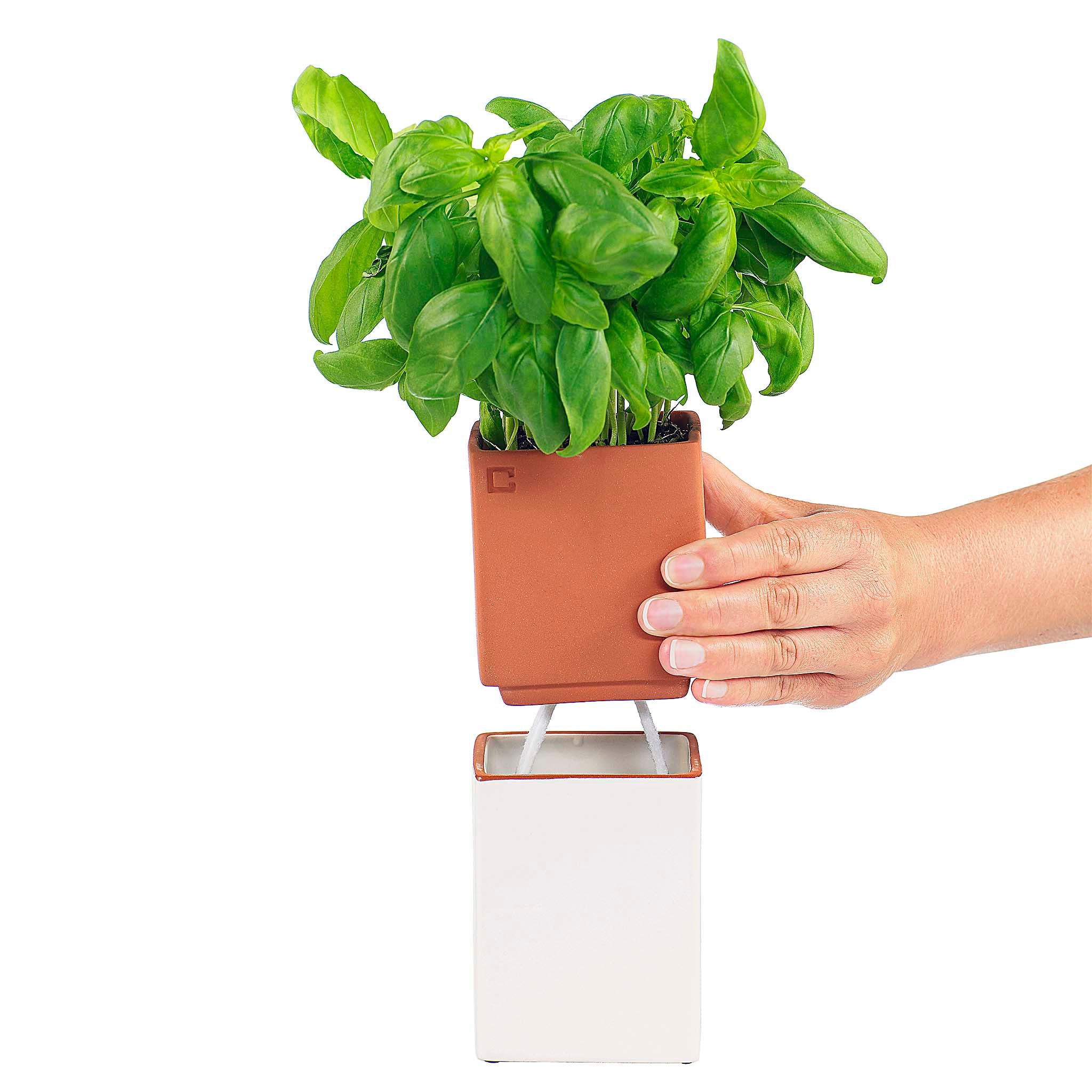 Evergreen Herb Pot is a sleek double-tiered planter that combines a modern look with a modern idea: a self-watering system.