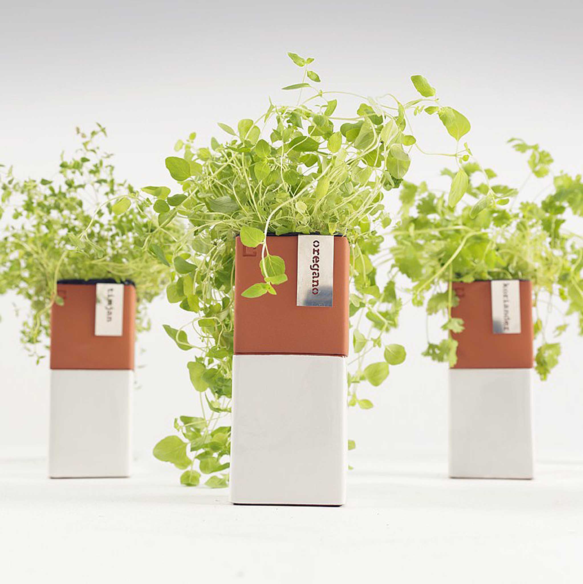 Evergreen Herb Pot is a sleek double-tiered planter that combines a modern look with a modern idea: a self-watering system.