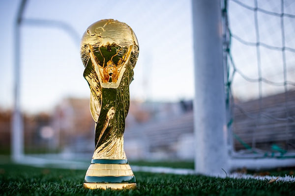 World cup trophy and pitch