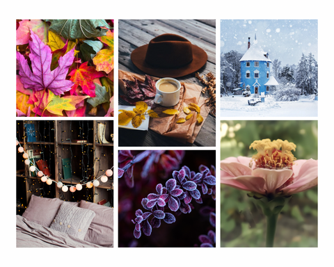 images of nature scenes including colored leaves, flowers, snowy houses, and twinkle lights