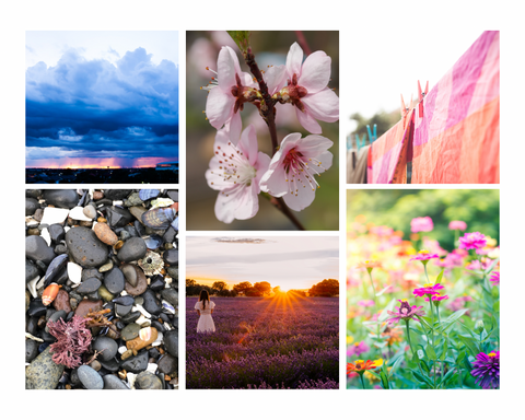 images of a spring rainstorm, laundry on a line, shells and rocks on a beach, a lavender field, and a field of flowers
