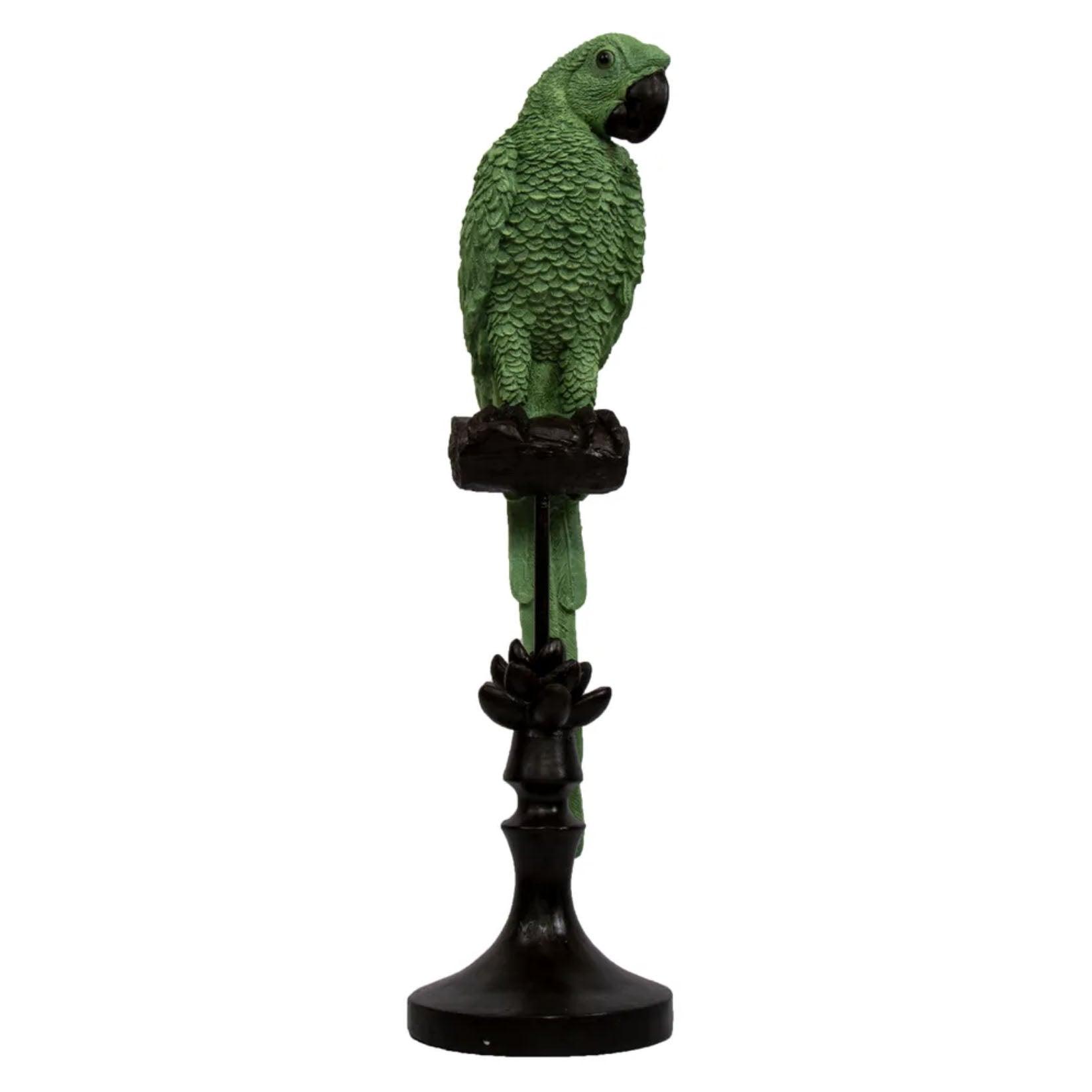 Alexa Parrot | Dark Green