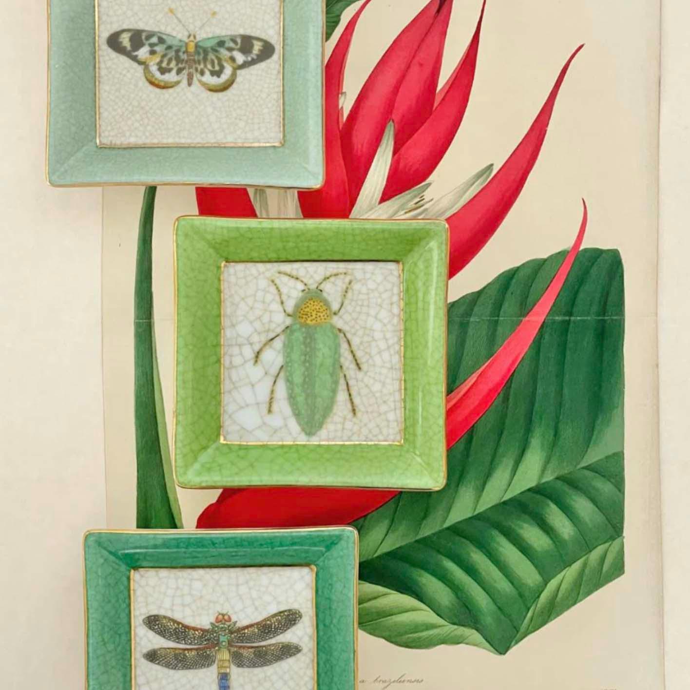 Exotica Wall Plate | Mariposa