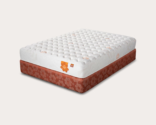 Dharma Elite Super Cush Mattress – City Mattress