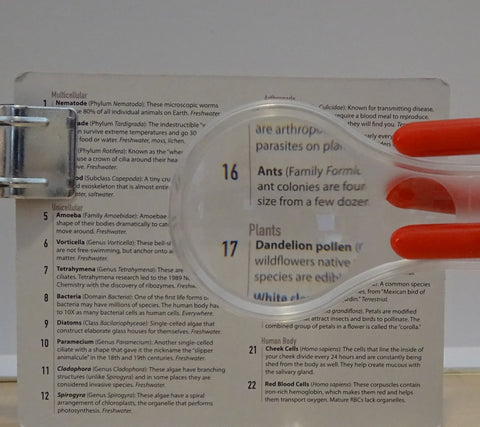 A hand lens in front of text showing the text magnified and right side up