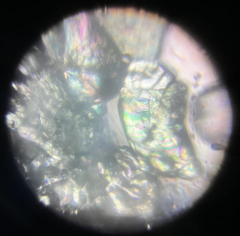 Picture of sugar crystals viewed through a Foldscope 140X magnification with polarized light