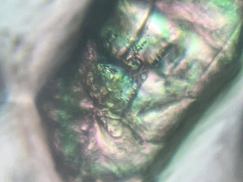 Picture of sugar crystals viewed through a Foldscope 140X magnification plus 5X zoom on phone with polarized light