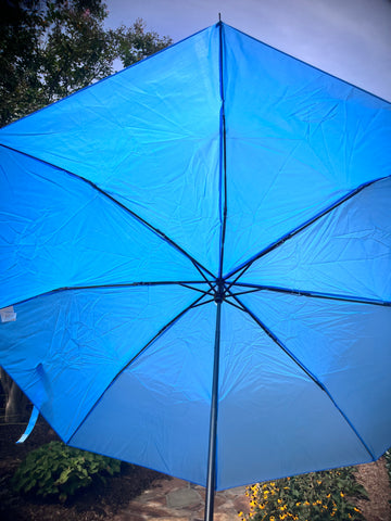 Picture of my umbrella