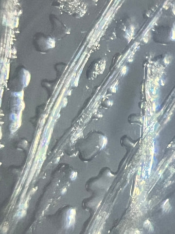 Picture of a spiderweb viewed under a Foldscope 2.0 at 140X magnification plus 5X zoom on phone using dark field lighting