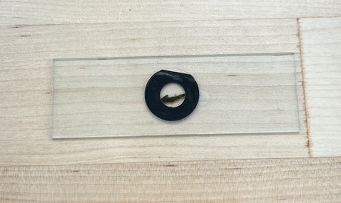 Picture of a glass slide with the sample inside of a black ring sticker