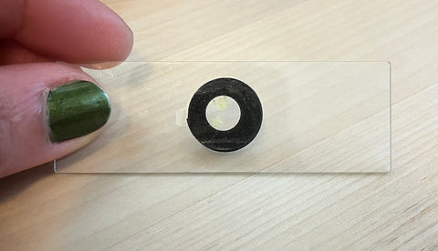 Picture of glass slide with cake crumbs inside of a 3XT ring sticker