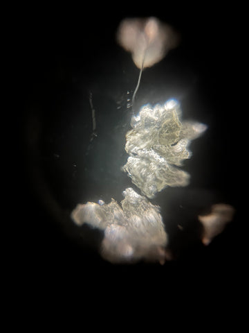 Picture of cake crumbs viewed under a Foldscope 2.0 at 50X magnification with reflective lighting