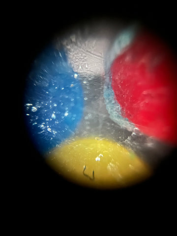 Picture of the yellow, blue, and red decorative sprinkles viewed under a Foldscope 2.0 at 50X magnification with reflective lighting