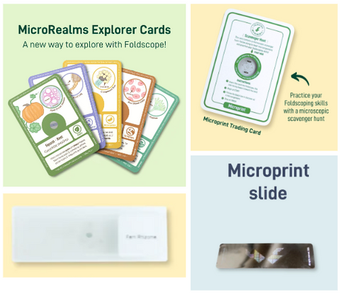 Picture of a variety of prepared slide options.