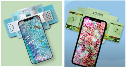 Picture of phones coupled to Foldscopes