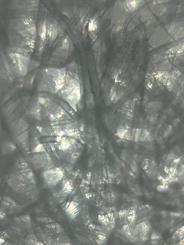 Picture of a tissue viewed under a Foldscope 2.0 at 140X magnification plus 5X zoom on phone