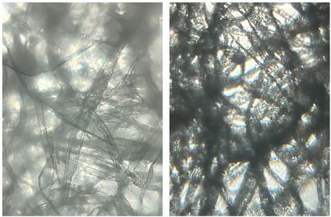 Picture of double ply (left) and single ply (right) tissue viewed under a Foldscope 2.0 at 140X magnification plus 5X zoom on phone