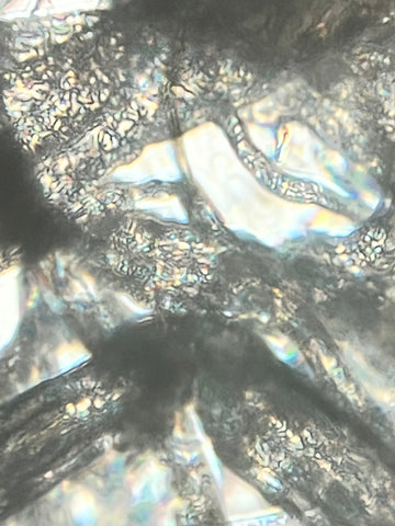 Picture of single ply tissue viewed under a Foldscope 2.0 at 340X magnification plus 5X zoom on phone