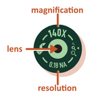 how to read the lens